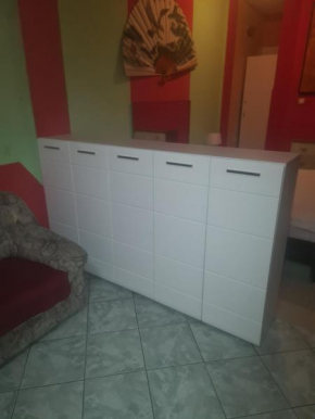 Apartman MILE Liman